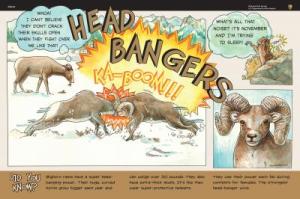 Head Bangers Wayside Glacier National Park Exhibit